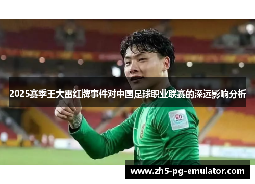 2025赛季王大雷红牌事件对中国足球职业联赛的深远影响分析