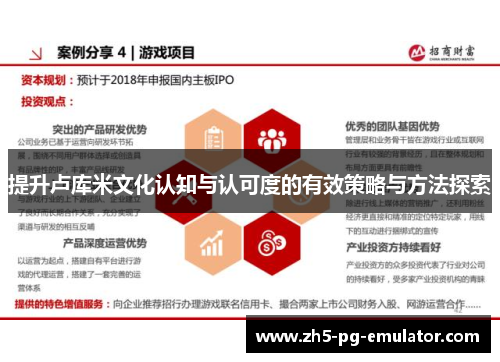 提升卢库米文化认知与认可度的有效策略与方法探索