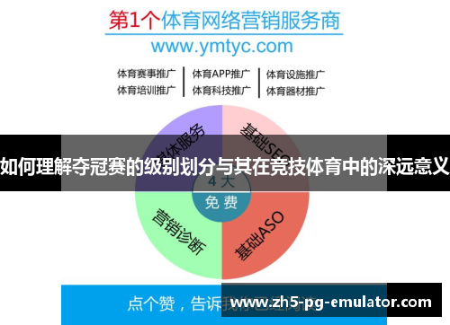 如何理解夺冠赛的级别划分与其在竞技体育中的深远意义