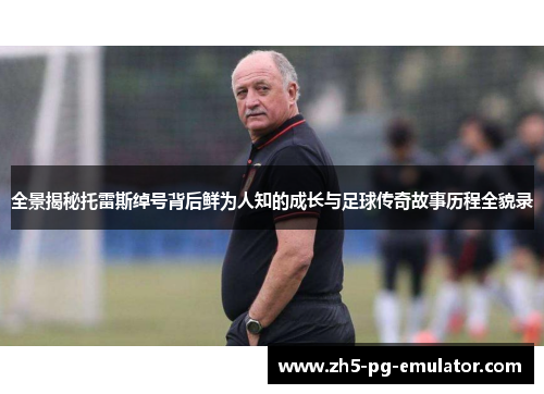 全景揭秘托雷斯绰号背后鲜为人知的成长与足球传奇故事历程全貌录 全景揭秘托雷斯绰号背后鲜为人知的成长与足球传奇故事历程全貌录