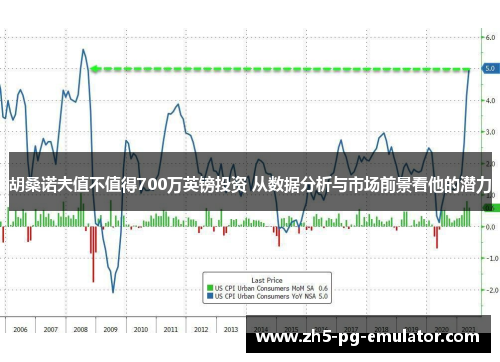胡桑诺夫值不值得700万英镑投资 从数据分析与市场前景看他的潜力